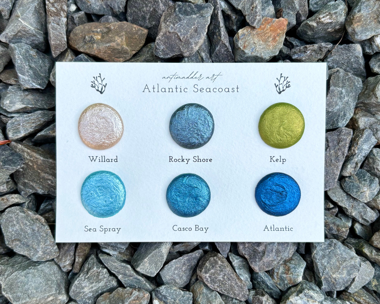 Atlantic Seacoast - Dot Card