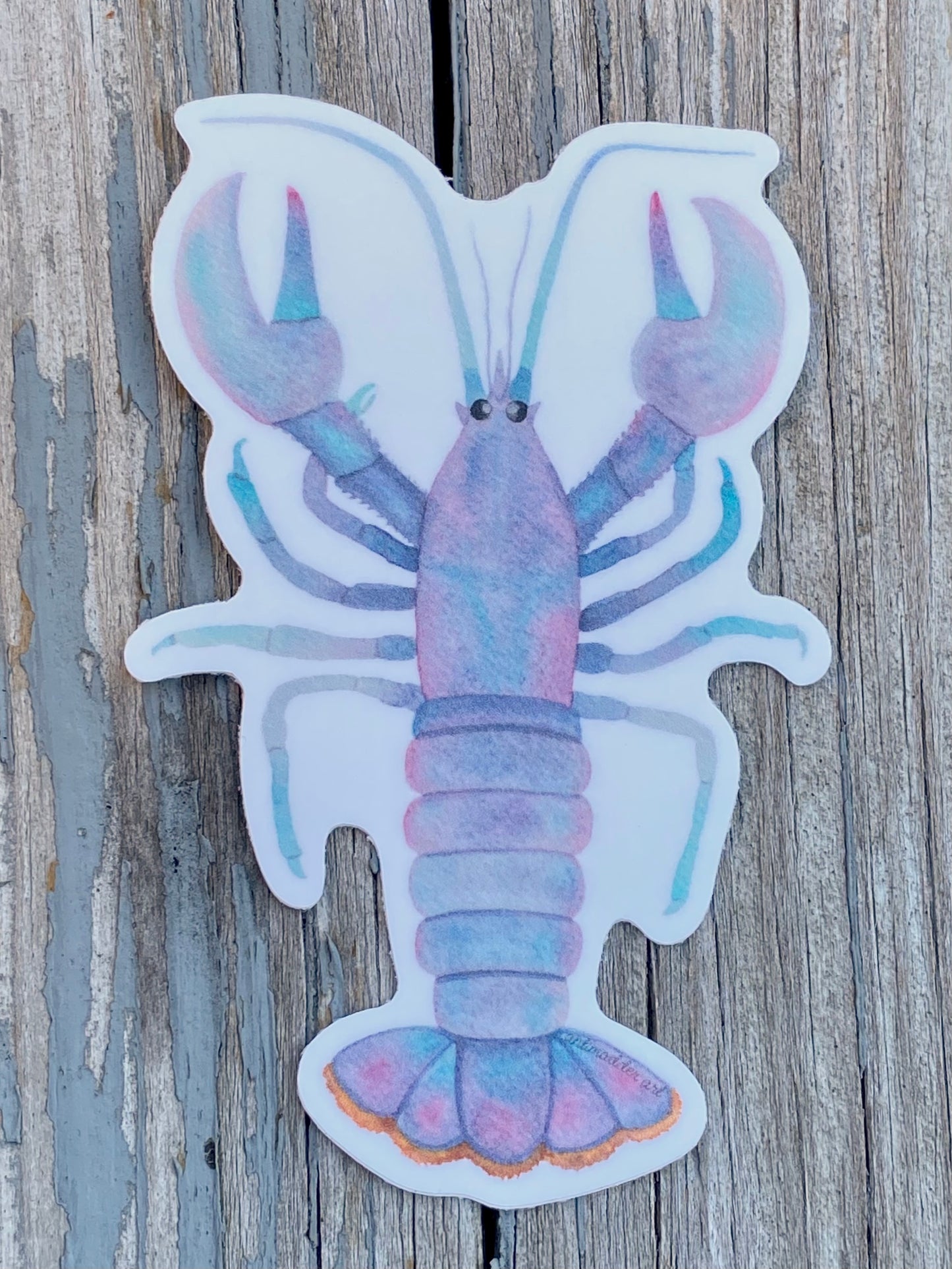 Cotton Candy Lobster Sticker