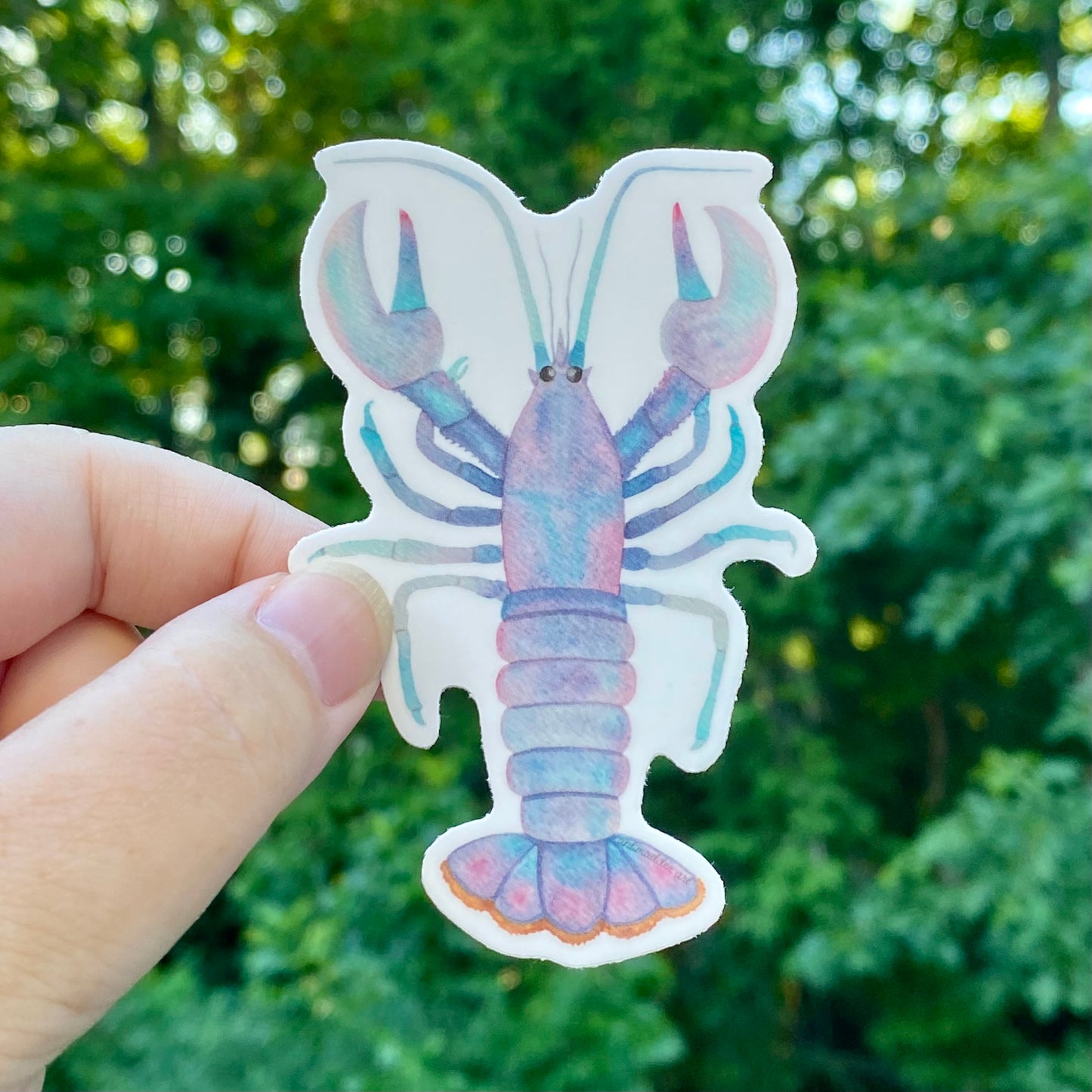 Cotton Candy Lobster Sticker