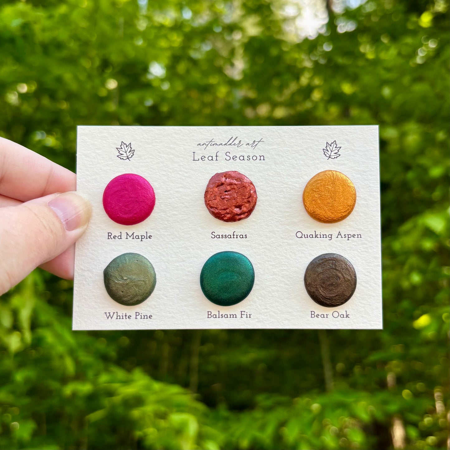 Leaf Season - Dot Card