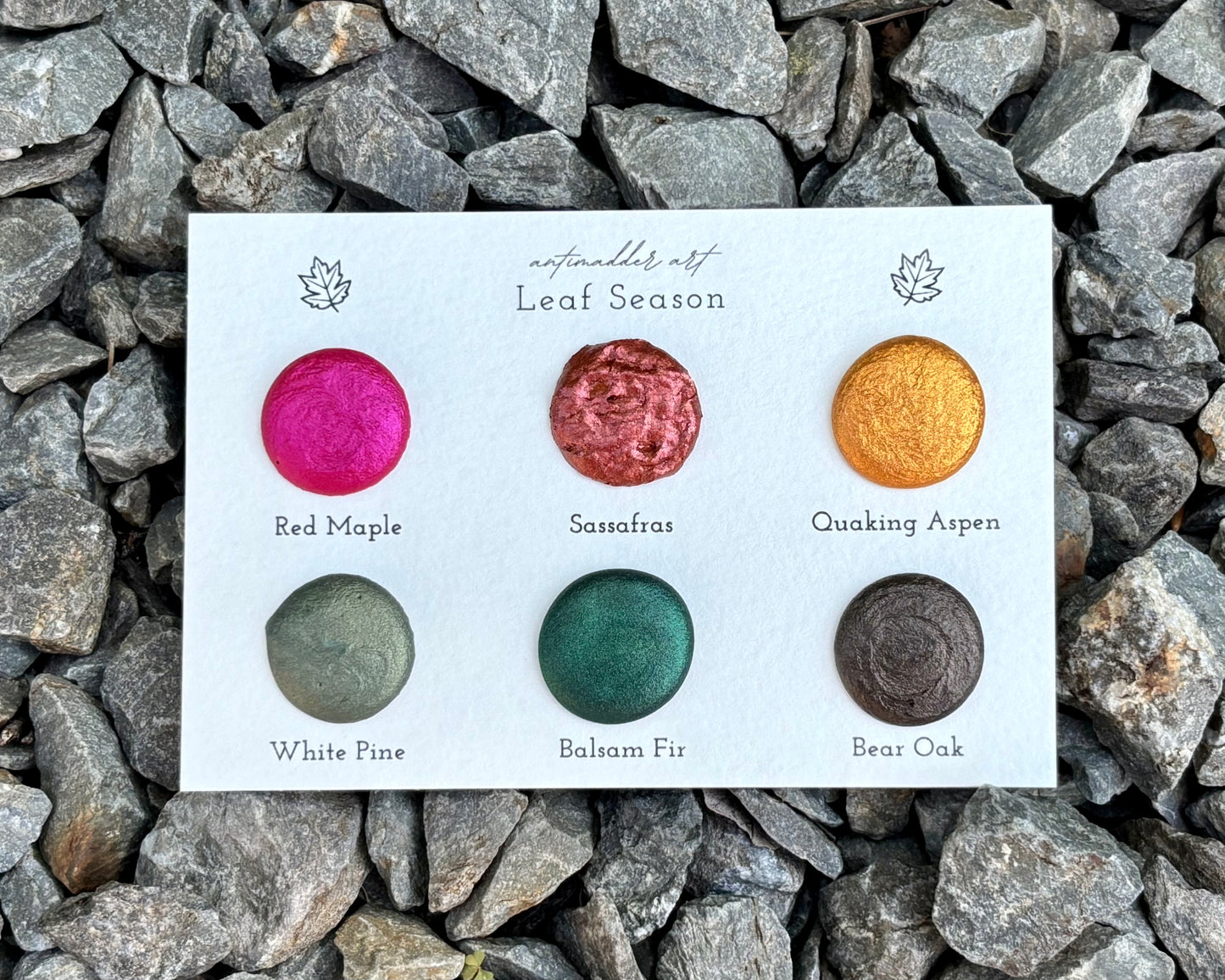 Leaf Season - Dot Card