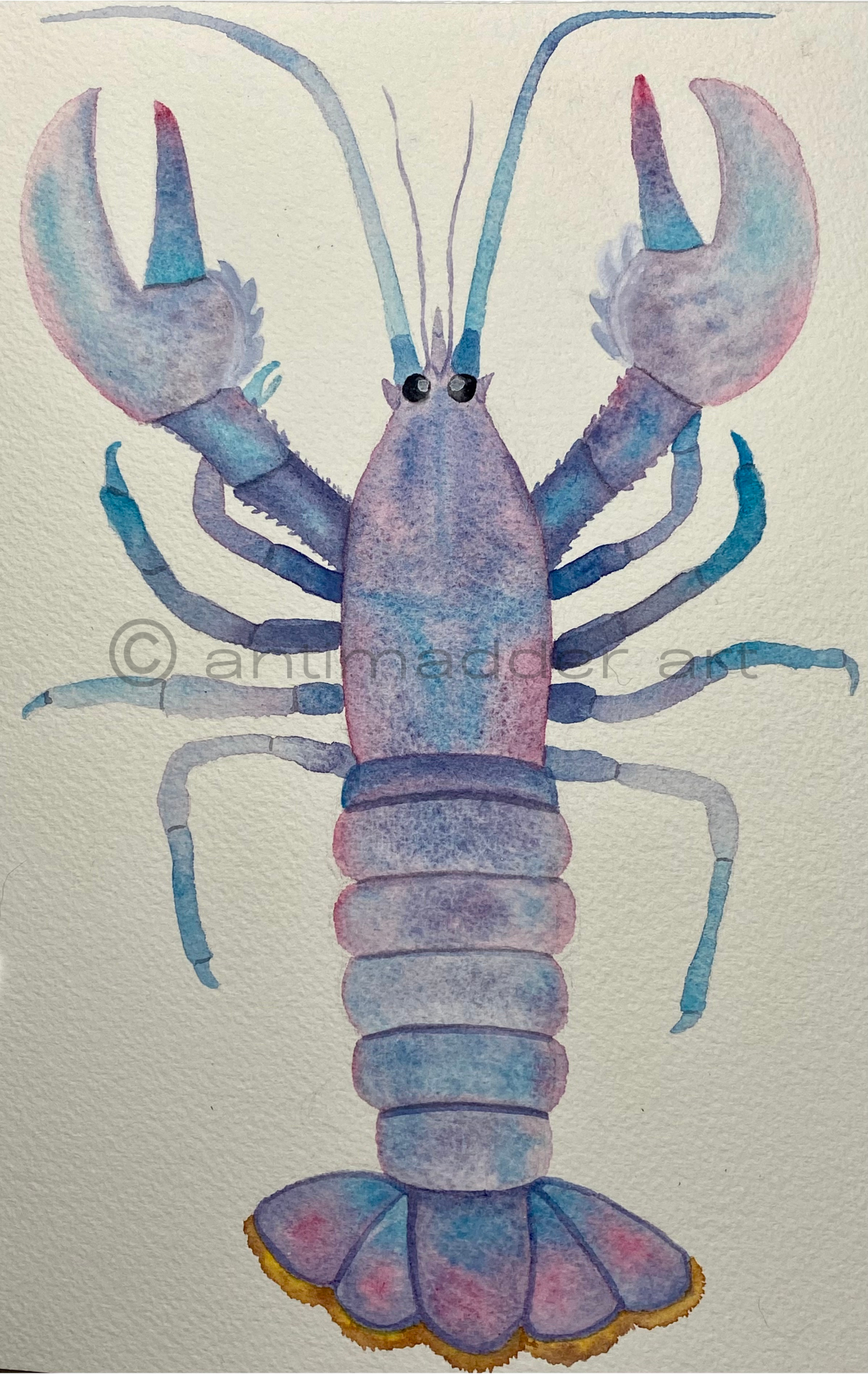 Cotton Candy Lobster Sticker