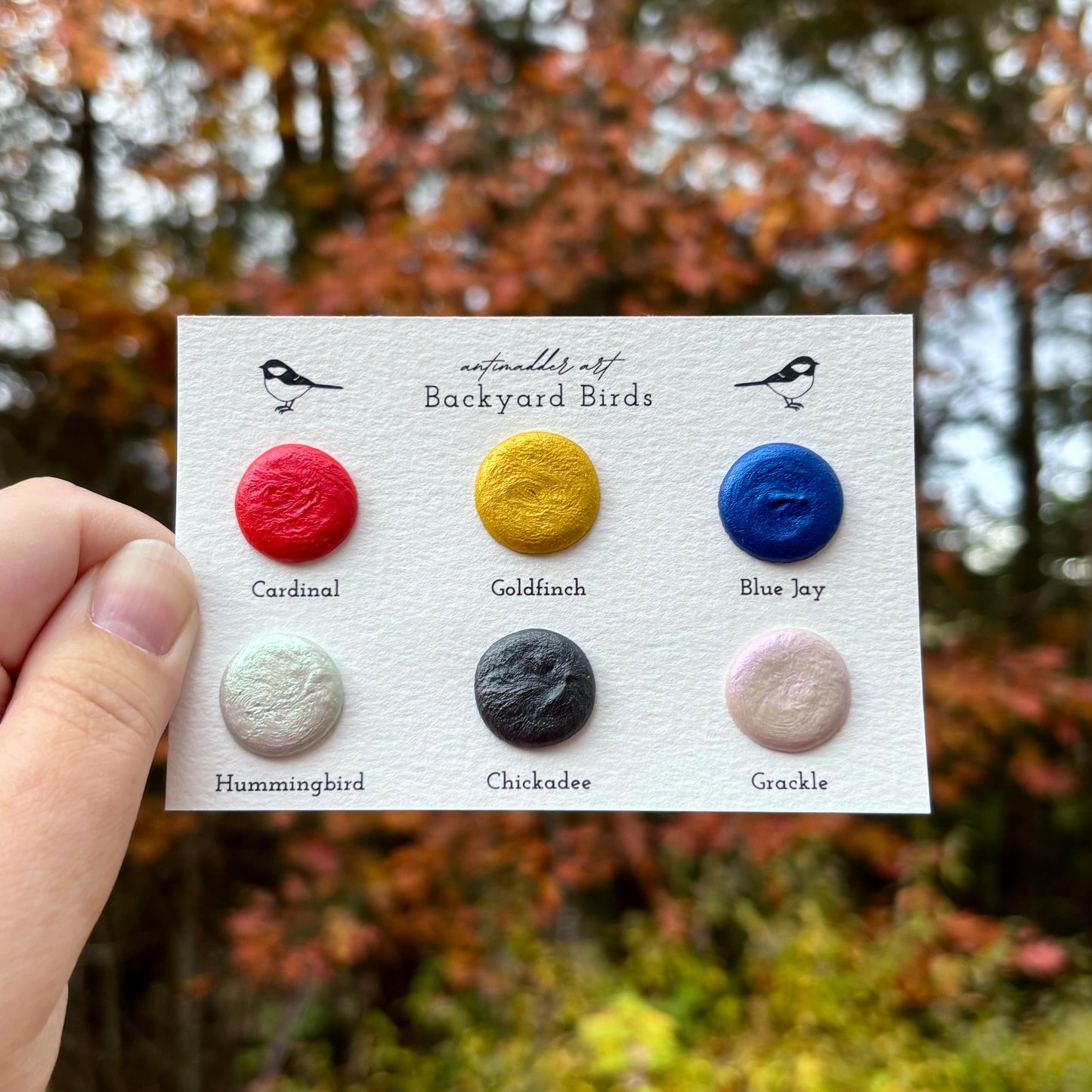 Backyard Birds Dot Card